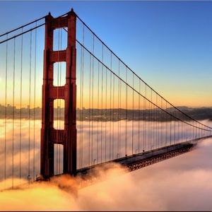 Meet your Posher, Noah